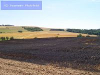 Flächenbrand