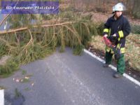 Hilfeleistung - Sturmschaden