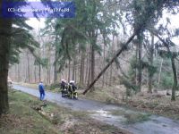 Hilfeleistung - Sturmschaden