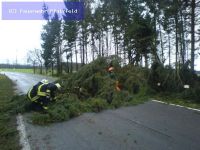 Hilfeleistung - Sturmschaden