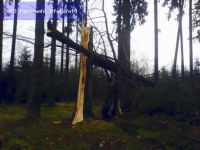 Hilfeleistung - Sturmschaden