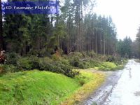 Hilfeleistung - Sturmschaden