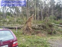 Hilfeleistung - Sturmschaden