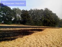 Flächenbrand